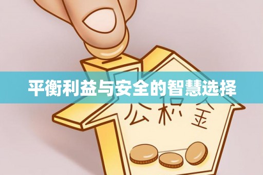 阜城平衡利益与安全的智慧选择