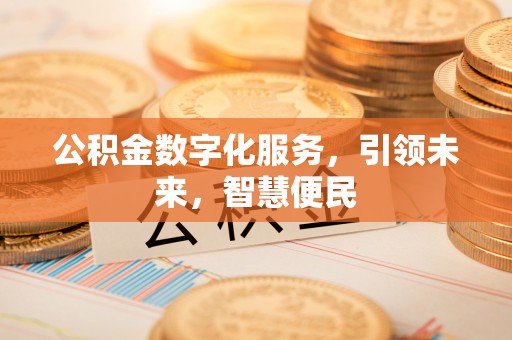 阜城公积金数字化服务，引领未来，智慧便民
