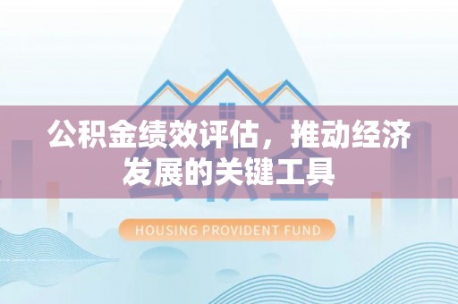 阜城公积金绩效评估，推动经济发展的关键工具