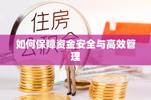 阜城如何保障资金安全与高效管理