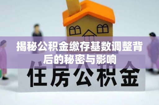 阜城揭秘公积金缴存基数调整背后的秘密与影响