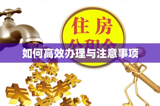 阜城如何高效办理与注意事项
