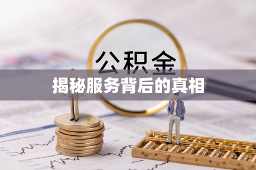 阜城揭秘服务背后的真相