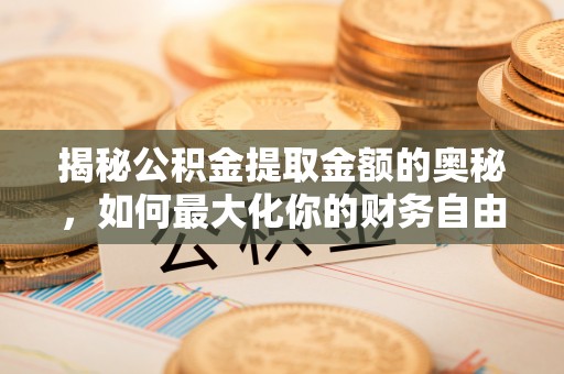 阜城揭秘公积金提取金额的奥秘，如何最大化你的财务自由