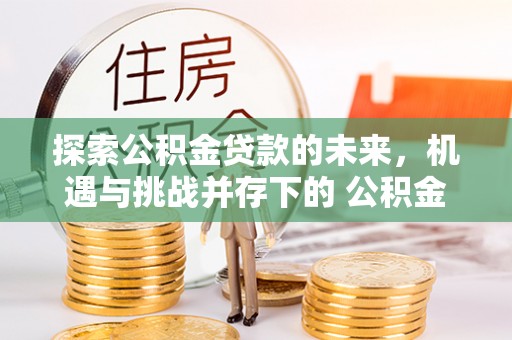 阜城探索公积金贷款的未来，机遇与挑战并存下的 公积金贷款风险防控