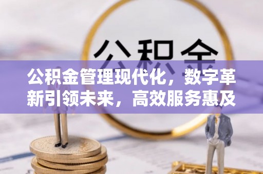阜城公积金管理现代化，数字革新引领未来，高效服务惠及民生