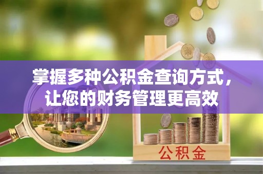 阜城掌握多种公积金查询方式，让您的财务管理更高效