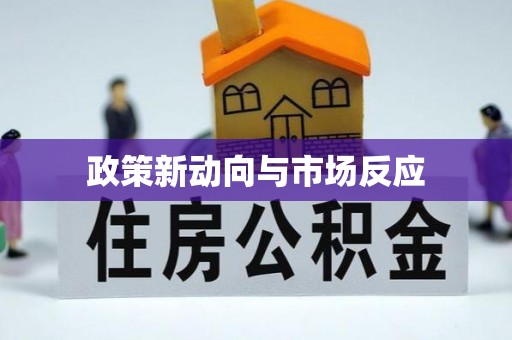 阜城政策新动向与市场反应