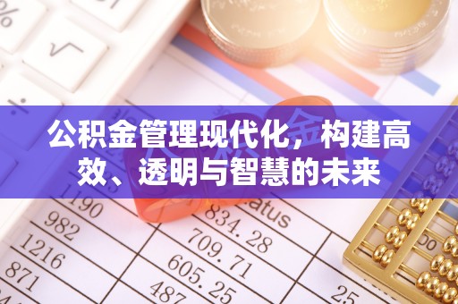 阜城公积金管理现代化，构建高效、透明与智慧的未来