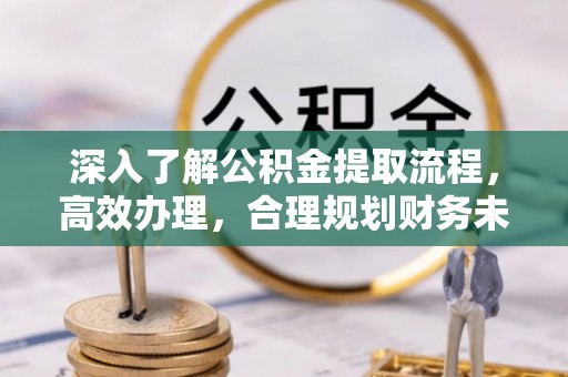 阜城深入了解公积金提取流程，高效办理，合理规划财务未来
