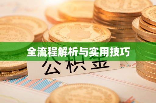 阜城全流程解析与实用技巧