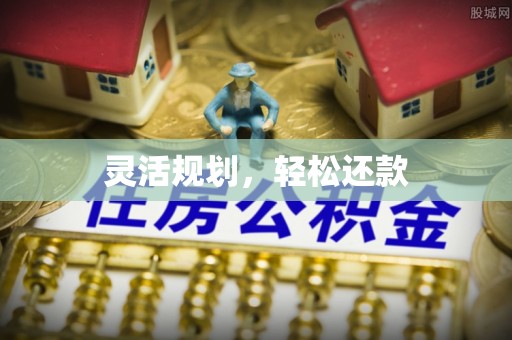 阜城灵活规划，轻松还款