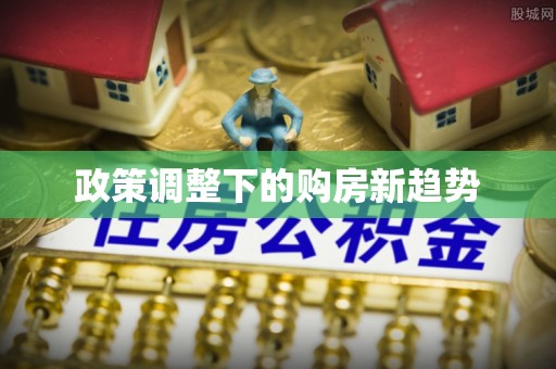 阜城政策调整下的购房新趋势