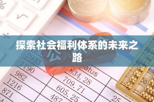 阜城探索社会福利体系的未来之路