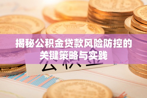 阜城揭秘公积金贷款风险防控的关键策略与实践