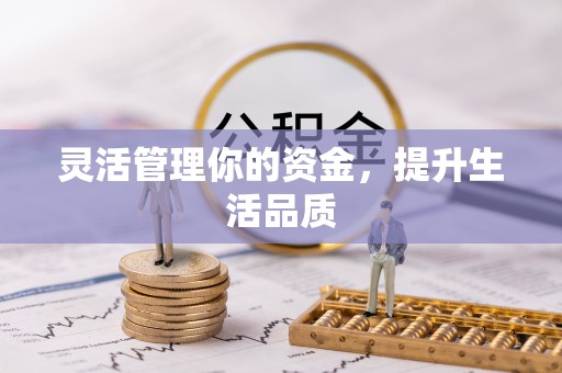 阜城灵活管理你的资金，提升生活品质