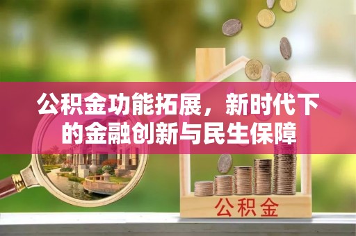 阜城公积金功能拓展，新时代下的金融创新与民生保障
