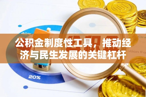 阜城公积金制度性工具，推动经济与民生发展的关键杠杆