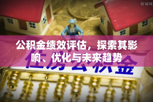 阜城公积金绩效评估，探索其影响、优化与未来趋势