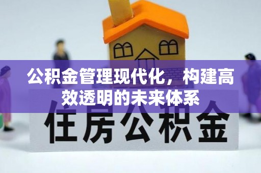 阜城公积金管理现代化，构建高效透明的未来体系