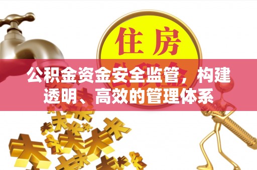 阜城公积金资金安全监管，构建透明、高效的管理体系