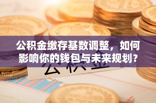 阜城公积金缴存基数调整，如何影响你的钱包与未来规划？