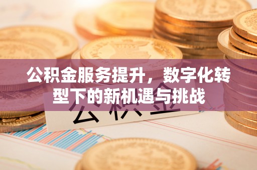 阜城公积金服务提升，数字化转型下的新机遇与挑战