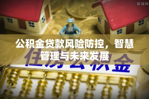 阜城公积金贷款风险防控，智慧管理与未来发展