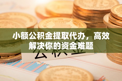 阜城小额公积金提取代办，高效解决你的资金难题