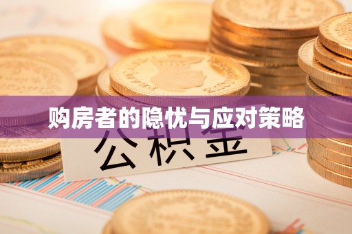阜城购房者的隐忧与应对策略