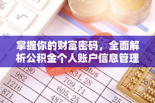 阜城掌握你的财富密码，全面解析公积金个人账户信息管理与优化
