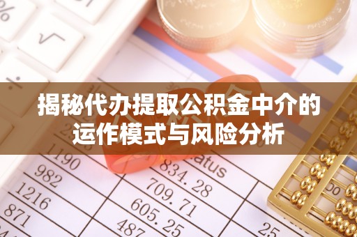 阜城揭秘代办提取公积金中介的运作模式与风险分析