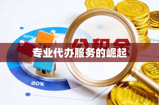 阜城专业代办服务的崛起