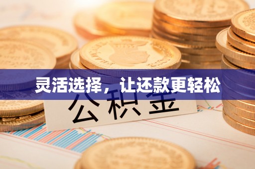 阜城灵活选择，让还款更轻松