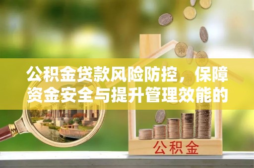 阜城公积金贷款风险防控，保障资金安全与提升管理效能的多维度探索