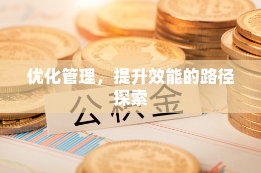 阜城优化管理，提升效能的路径探索