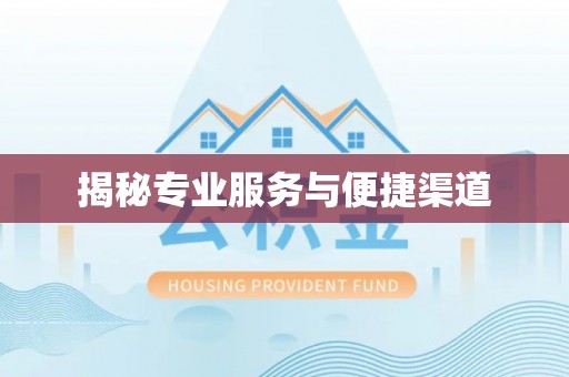 阜城揭秘专业服务与便捷渠道