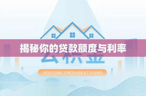 阜城揭秘你的贷款额度与利率