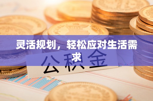 阜城灵活规划，轻松应对生活需求