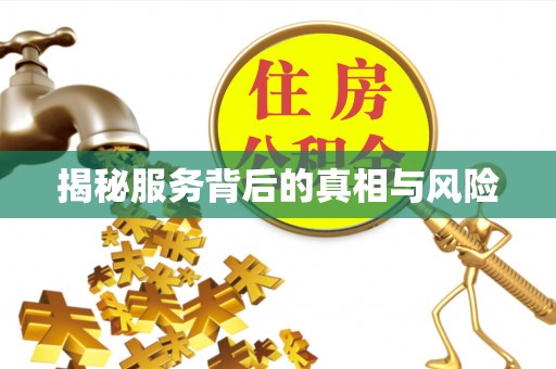 阜城揭秘服务背后的真相与风险