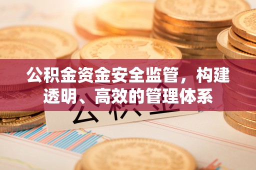 阜城公积金资金安全监管，构建透明、高效的管理体系
