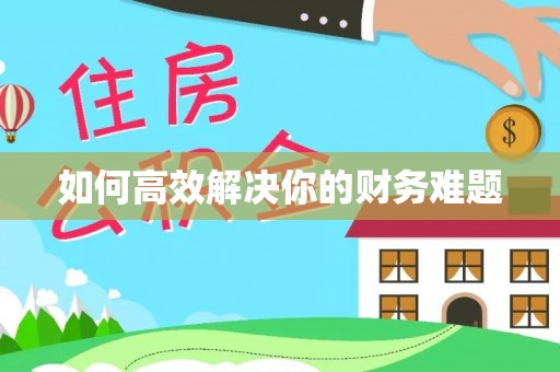 阜城如何高效解决你的财务难题