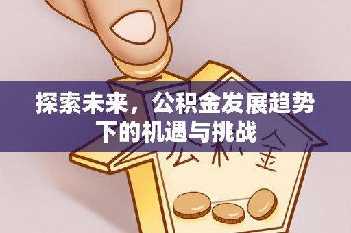 阜城探索未来，公积金发展趋势下的机遇与挑战