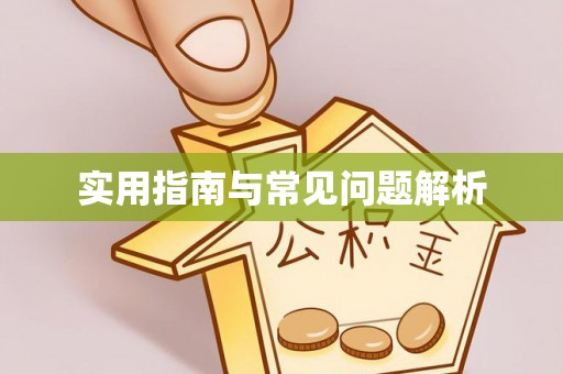 阜城实用指南与常见问题解析