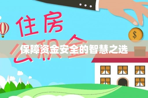 阜城保障资金安全的智慧之选