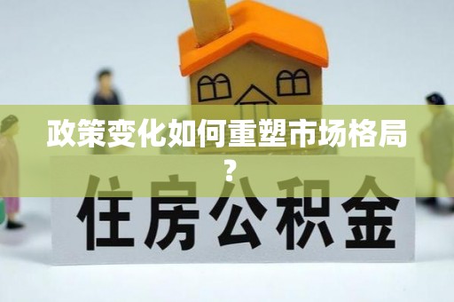 阜城政策变化如何重塑市场格局？