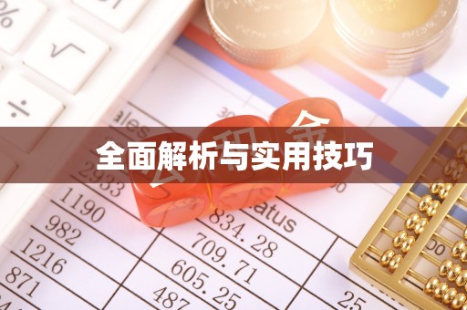 阜城全面解析与实用技巧
