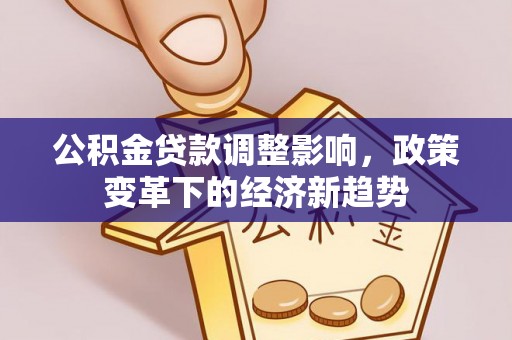 阜城公积金贷款调整影响，政策变革下的经济新趋势