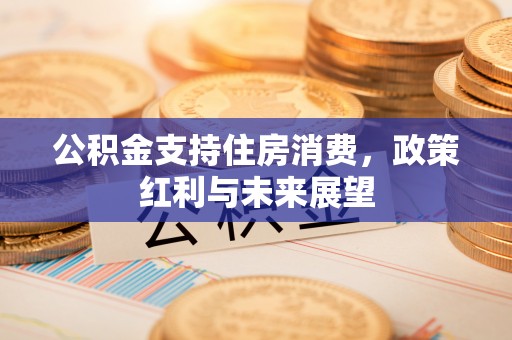 阜城公积金支持住房消费，政策红利与未来展望