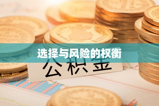 阜城选择与风险的权衡